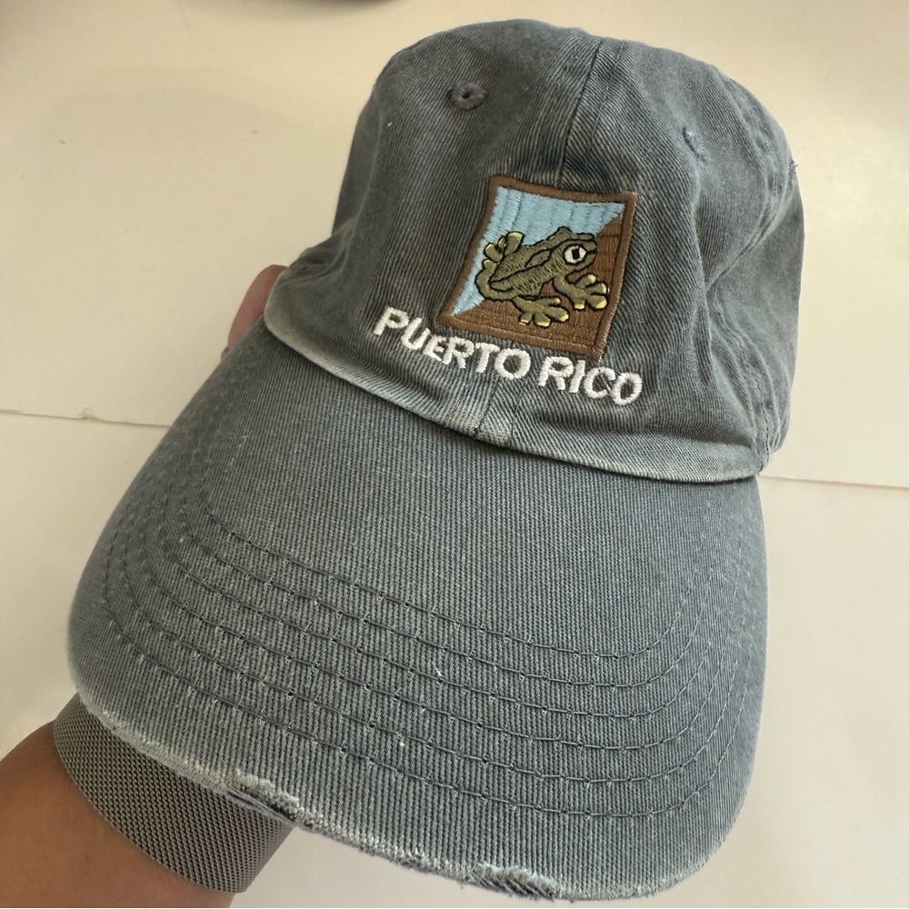 Puerto Rico Gray Lizard Gecko Embroidered Distressed Brim Cotton Cap Hat